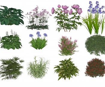 Modern Shrubbery-ID:447062971