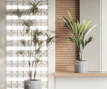 Modern Ground Green Plant Potted Plants-ID:159990811