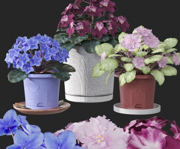 Modern Potted Green Plant-ID:620274075