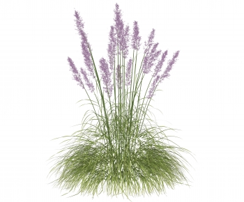 Modern Flowers And Grass-ID:468491081