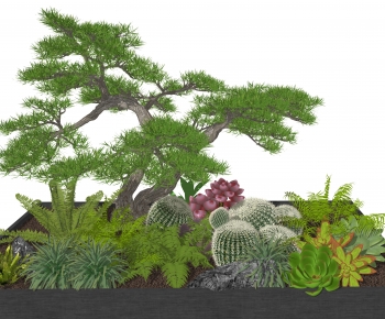 Modern Plant Pile-ID:555636883