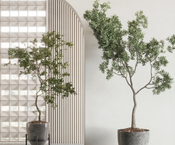 Modern Ground Green Plant Potted Plants-ID:395677098