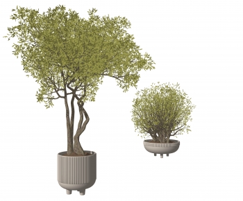 Modern Ground Green Plant Potted Plants-ID:707504032