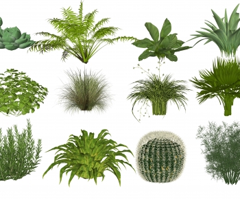 Modern Shrubbery-ID:871738916