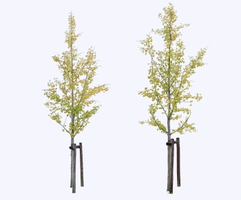 Modern Tree-ID:991894018