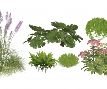 Modern Shrubbery-ID:774688968