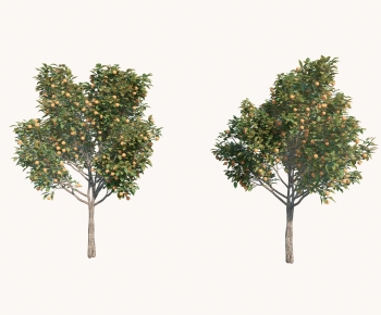 Modern Tree-ID:136845112