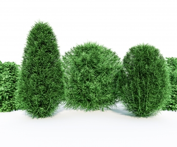 Modern Shrubbery-ID:277380946