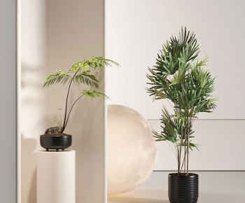 Modern Potted Green Plant-ID:872433906