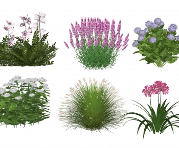 Modern Flowers And Grass-ID:507302051