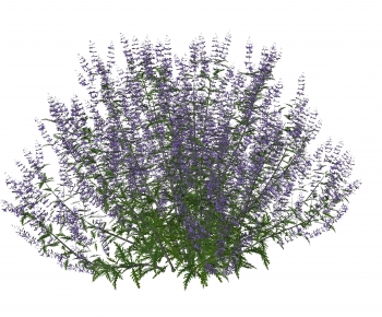 Modern Flowers And Grass-ID:503504993