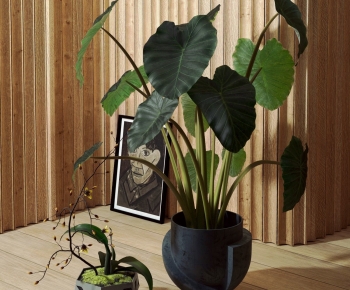 Modern Ground Green Plant Potted Plants-ID:354182969