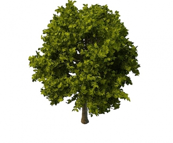 Modern Tree-ID:540715934