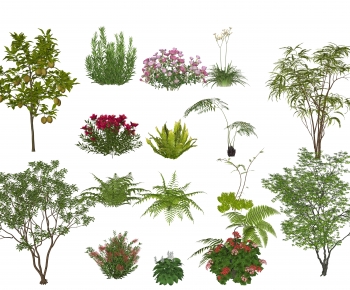 Modern Shrubbery-ID:164803982