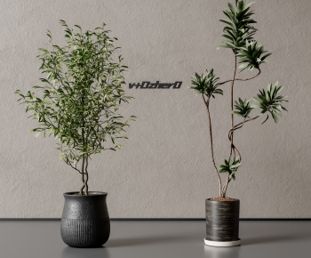 Modern Ground Green Plant Potted Plants-ID:327805048