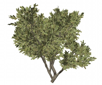 Modern Tree-ID:936098102