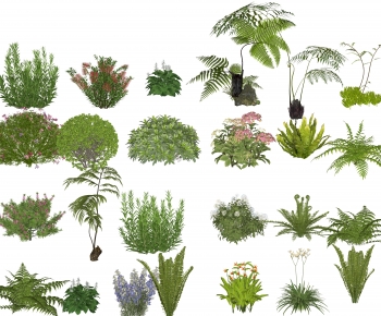 Modern Shrubbery-ID:975342994