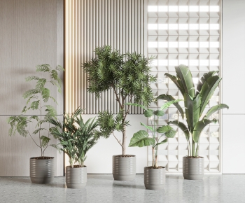 Modern Ground Green Plant Potted Plants-ID:855829005
