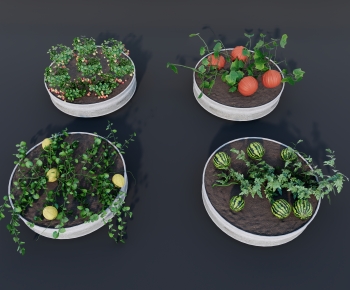 Modern Crop-ID:935928113