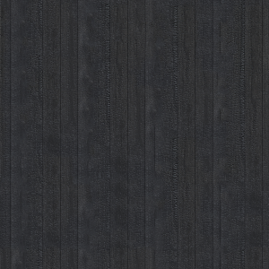 ModernOld Wood Texture