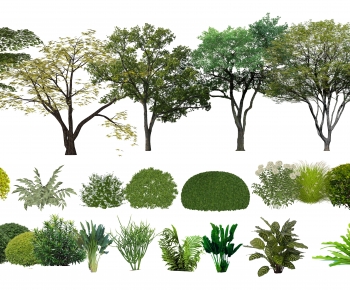 Modern Tree-ID:303862091