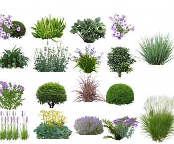 Modern Shrubbery-ID:295631895