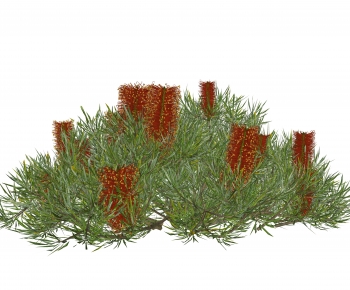 Modern Shrubbery-ID:773406033