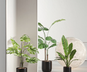 Modern Ground Green Plant Potted Plants-ID:100375896