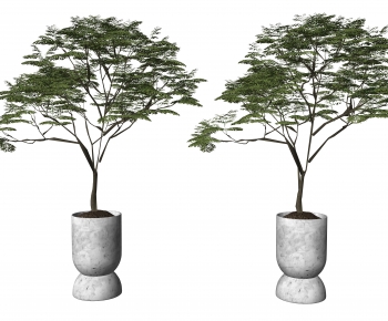 Modern Ground Green Plant Potted Plants-ID:344134095