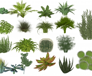 Modern Shrubbery-ID:142259623