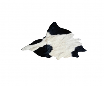 Modern Animal Fur-ID:645241028