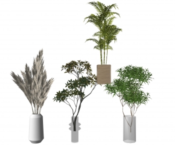 Modern Ground Green Plant Potted Plants-ID:571152939