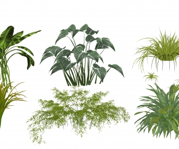 Modern Plant-ID:725250963