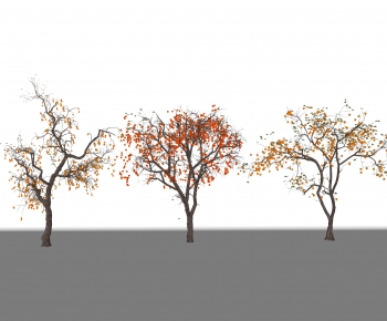 Modern Tree-ID:100652934