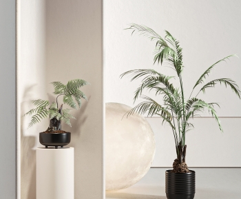 Modern Potted Green Plant-ID:519375096