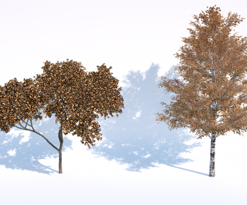 Modern Tree-ID:496273996