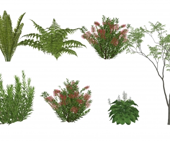 Modern Shrubbery-ID:784029968