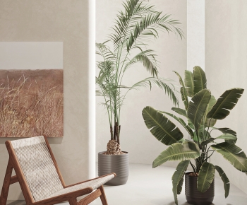 Modern Ground Green Plant Potted Plants-ID:768249039