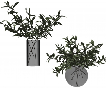 现代水生绿植组合-ID:681442021