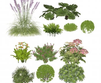 Modern Shrubbery-ID:229175095