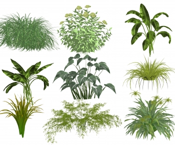 Modern Flowers And Grass-ID:217964895