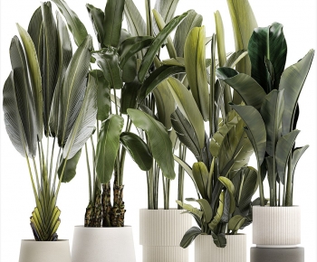 Modern Ground Green Plant Potted Plants-ID:390444996