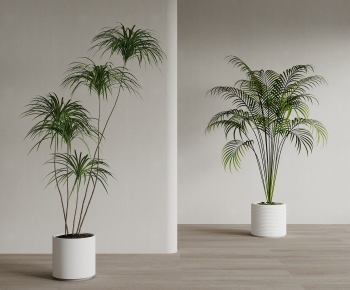 Modern Ground Green Plant Potted Plants-ID:640599763