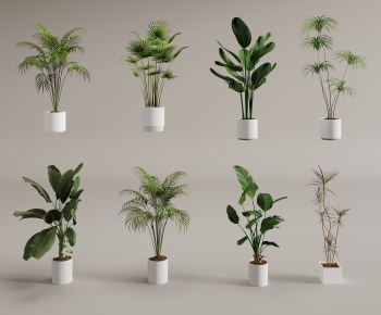 Modern Ground Green Plant Potted Plants-ID:635557891
