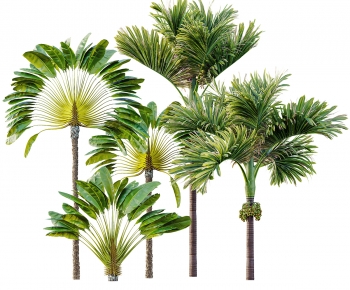 Modern Tree-ID:757549059