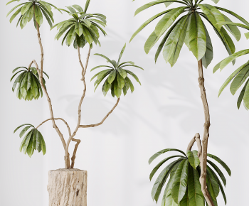 Modern Ground Green Plant Potted Plants-ID:170140989