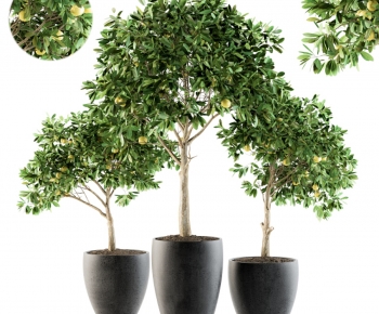 Modern Ground Green Plant Potted Plants-ID:460309988