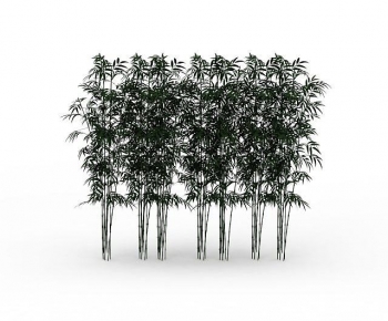 Modern Bamboo-ID:988359938