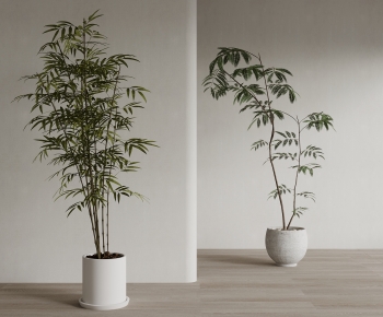 Modern Ground Green Plant Potted Plants-ID:225605961