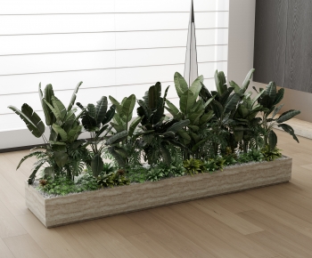 Modern Flower Bed, Flower Bowl, Flower Box-ID:796719073